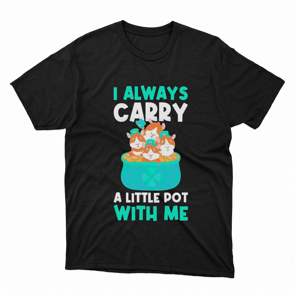 I Carry A Pot With Me Funny Guinea St Patricks Day Shirt, Ladies Tee