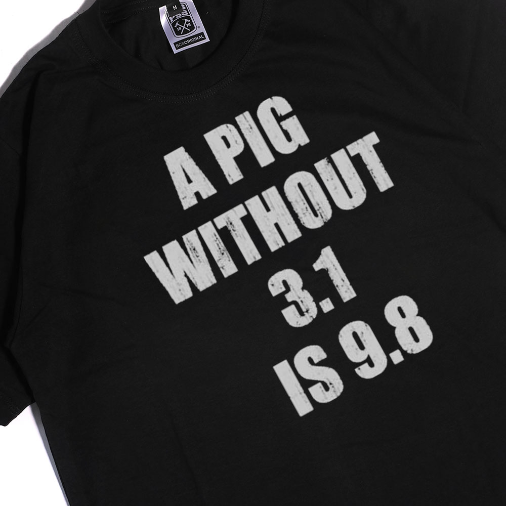A Pig Without 3.14 Is 9.8 Crewneck Shirt, Hoodie
